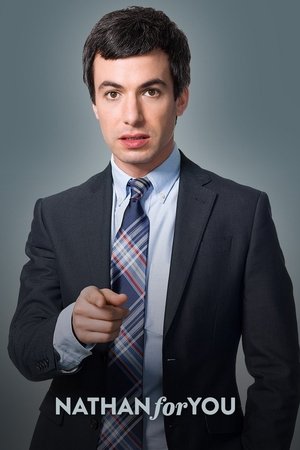 Nathan for You (2013 )