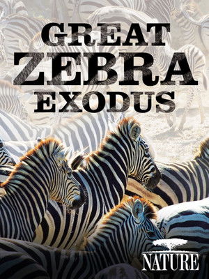 Great Zebra Exodus (2013) Poster