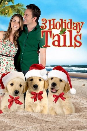 3 Holiday Tails (2011) Poster