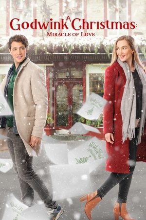 A Godwink Christmas Miracle of Love (2021)