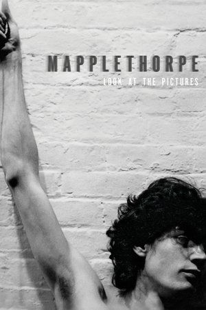 Mapplethorpe: Look at the Pictures (2016) Poster
