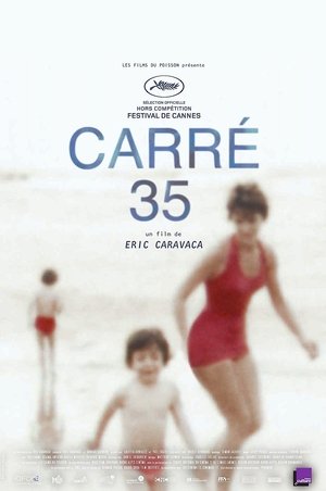 Plot 35 (2017)