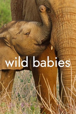 Wild Babies (2022-)