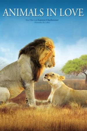 Animals in Love (2007) Poster