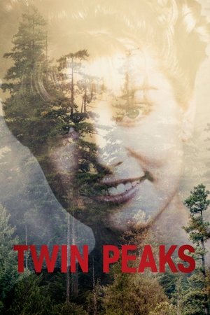 Twin Peaks (19901991)