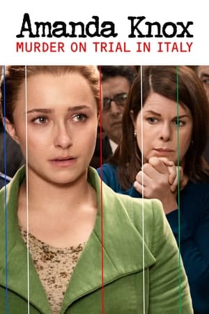 Amanda Knox (2011)