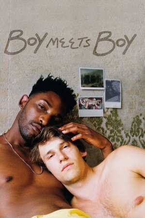 Boy Meets Boy (2021)