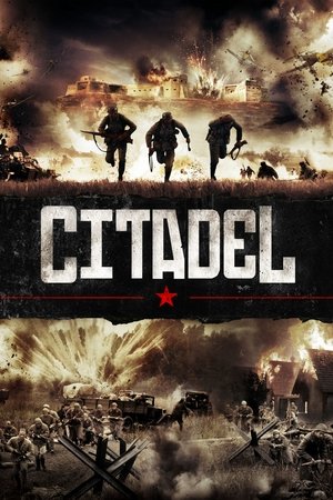 Utomlennye solntsem 2: Citadel (2011) Poster