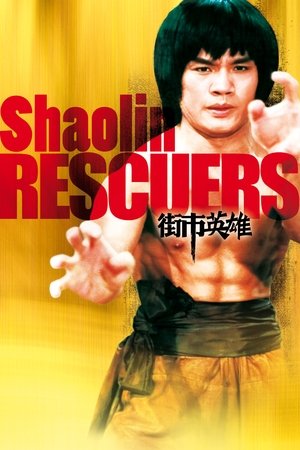 Avenging Warriors of Shaolin (1979) Poster
