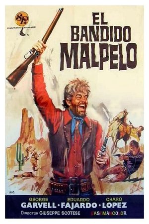 Il lungo giorno della violenza (1971)