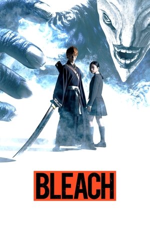 Bleach (20042012)