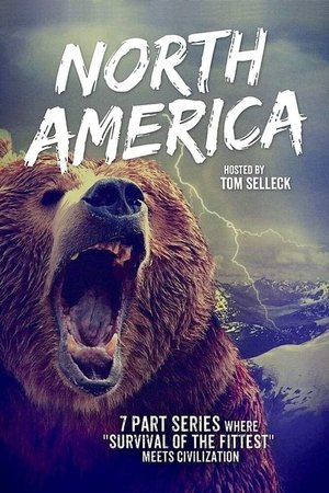 North America (2013 )