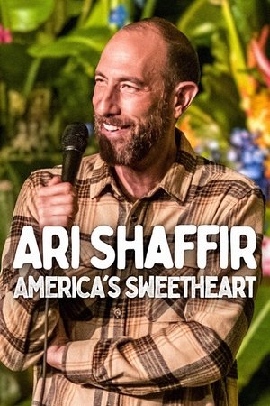 Ari Shaffir Americas Sweetheart (2025) Poster