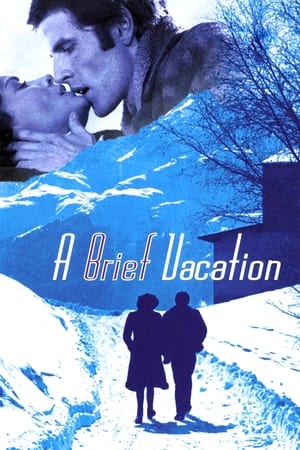 A Brief Vacation (1973) Poster