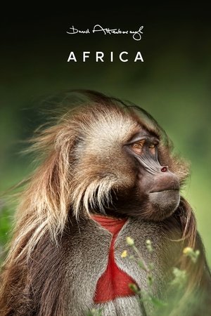 Africa (2013) Poster