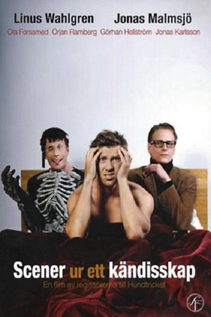 Scener ur ett kändisskap (2009)