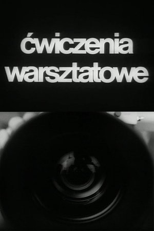 Cwiczenia warsztatowe (1987)