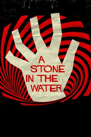 A Stone in the Water (2019) Poster