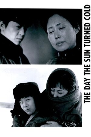 The Day the Sun Turned Cold (1994)