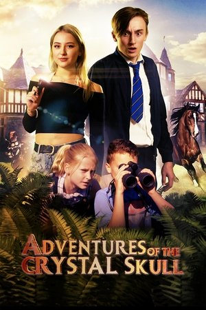 Adventures of the Crystal Skull (2022) Poster