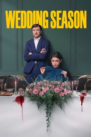 Wedding Season (2022-)