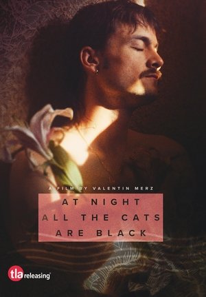 At Night All the Cats Are Black (2022)