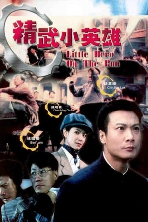 Jing Wu Xia Yuan (1995)