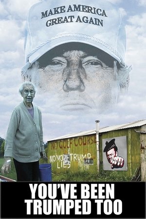 Youve Been Trumped Too (2016)