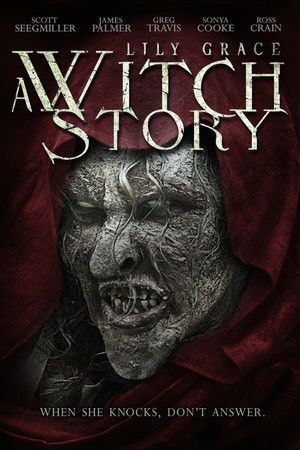 Lily Grace: A Witch Story (2015) Poster