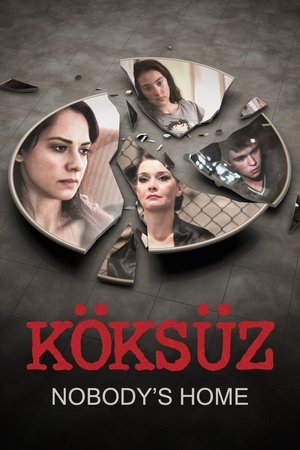 Nobodys Home (2013)