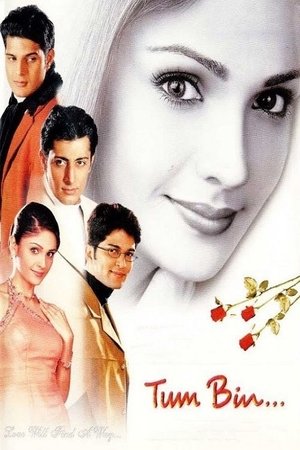 Tum Bin Love Will Find a Way (2001) Poster