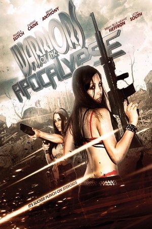 Apocalypse Female Warriors (2009) Poster
