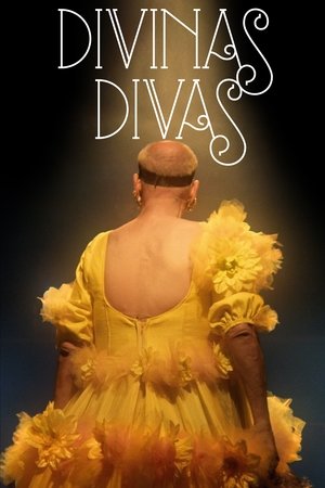 Divine Divas (2016)