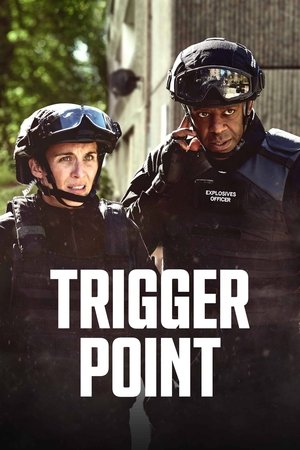 Trigger Point (2022-)