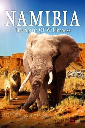 Namibia The Spirit of Wilderness (2016) Poster