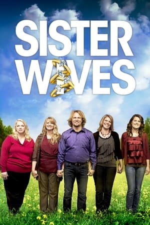 Sister Wives (2010 )