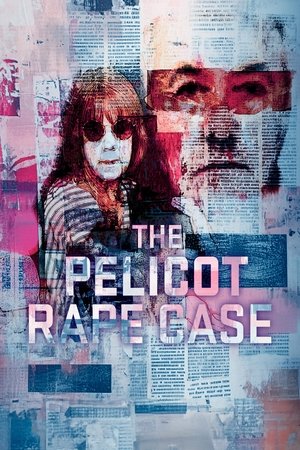 The Pelicot Rape Case A Town on Trial (2024)