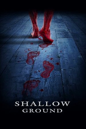 Shallow Ground (2004)