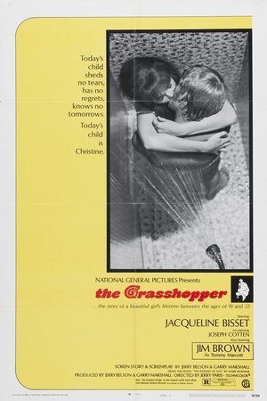 The Grasshopper (1970) Poster