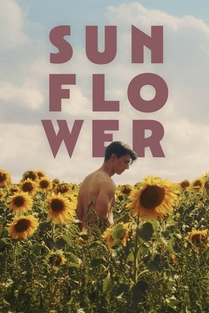 Sunflower (2023) Poster