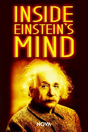 Inside Einsteins Mind: The Enigma of Space and Time (2015) Poster