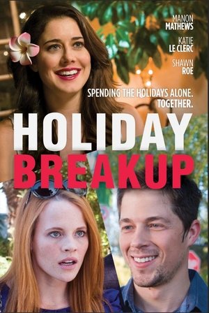 Holiday Breakup (2015) Poster