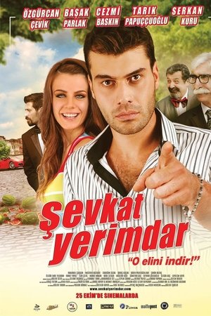 Sevkat Yerimdar (2013)