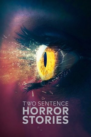 Two Sentence Horror Stories (2017 )