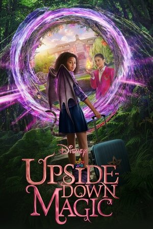 UpsideDown Magic (2020)