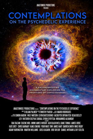 Contemplations On the Psychedelic Experience (2022)