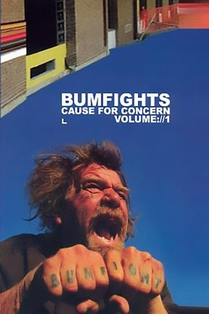 Cause for Concern (2002)