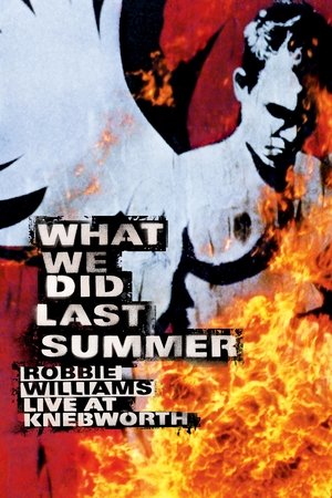 Robbie Williams Live at Knebworth (2003)