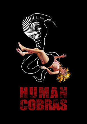 Luomo più velenoso del cobra (1971)
