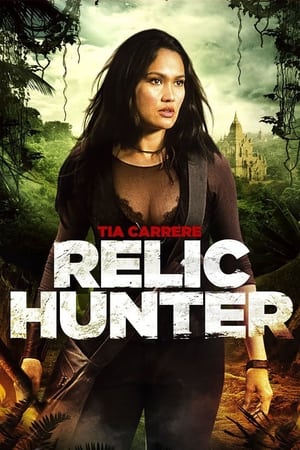 Relic Hunter (19992002)